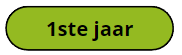 Curiculum 1e jaar